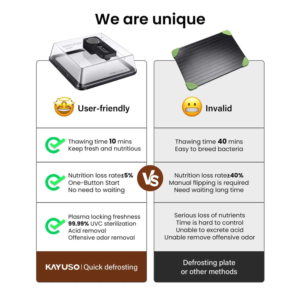 Kayuso Quick Defrosting Box