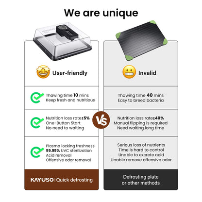 Kayuso Quick Defrosting Box