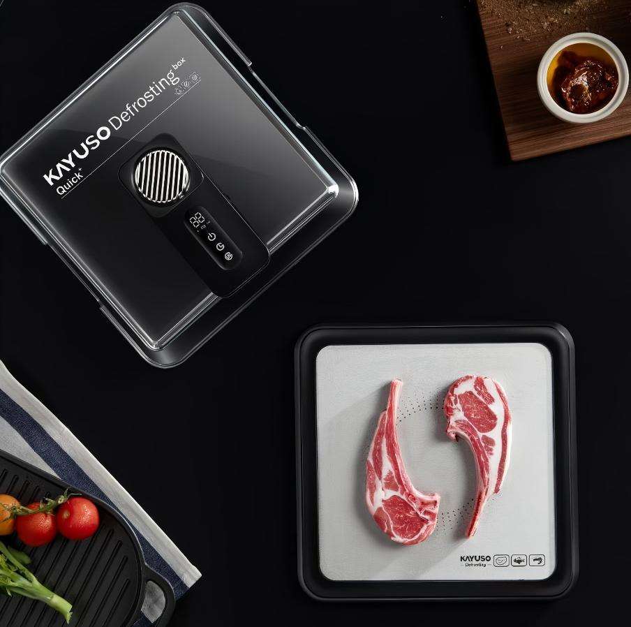 Kayuso Quick Defrosting Box