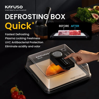 Kayuso Quick Defrosting Box