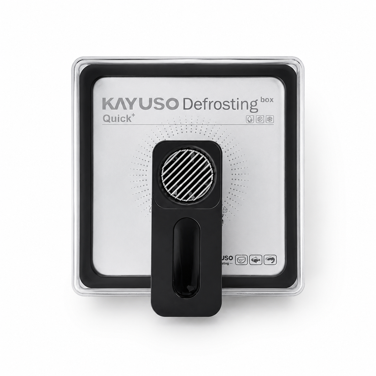Kayuso Quick Defrosting Box